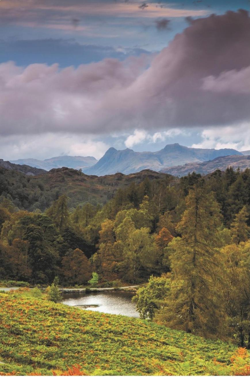 Yewfield Self Catering Apartments Hawkshead Dış mekan fotoğraf